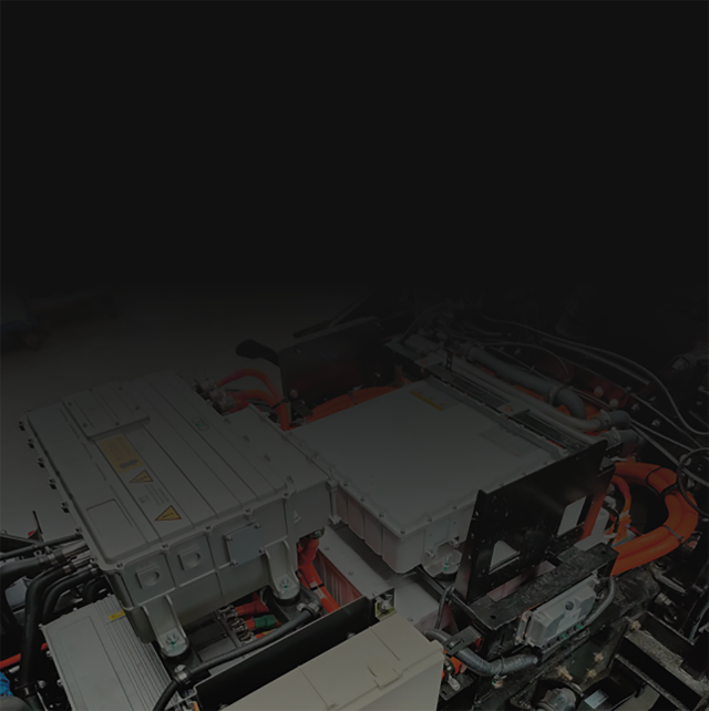 体育app官网下载