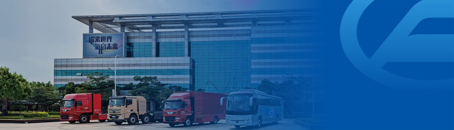 体育app官网下载