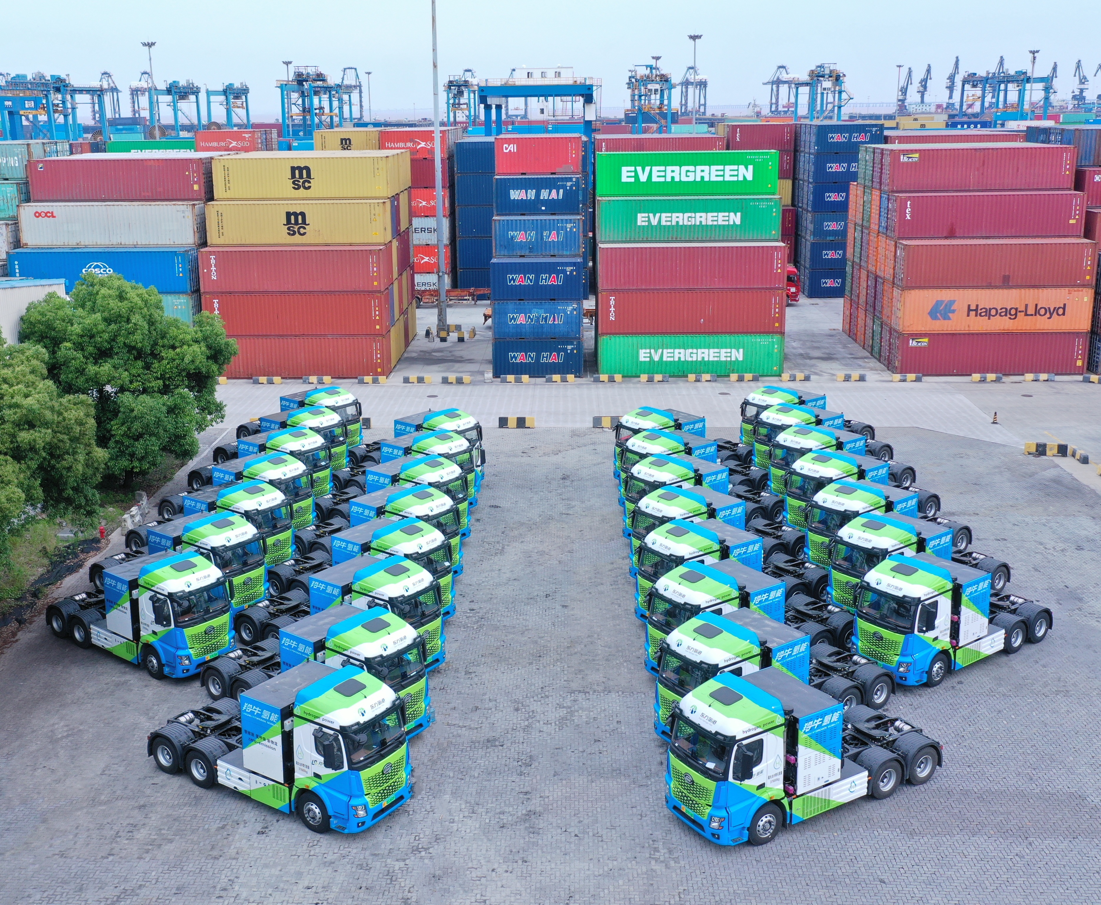 体育app官网下载