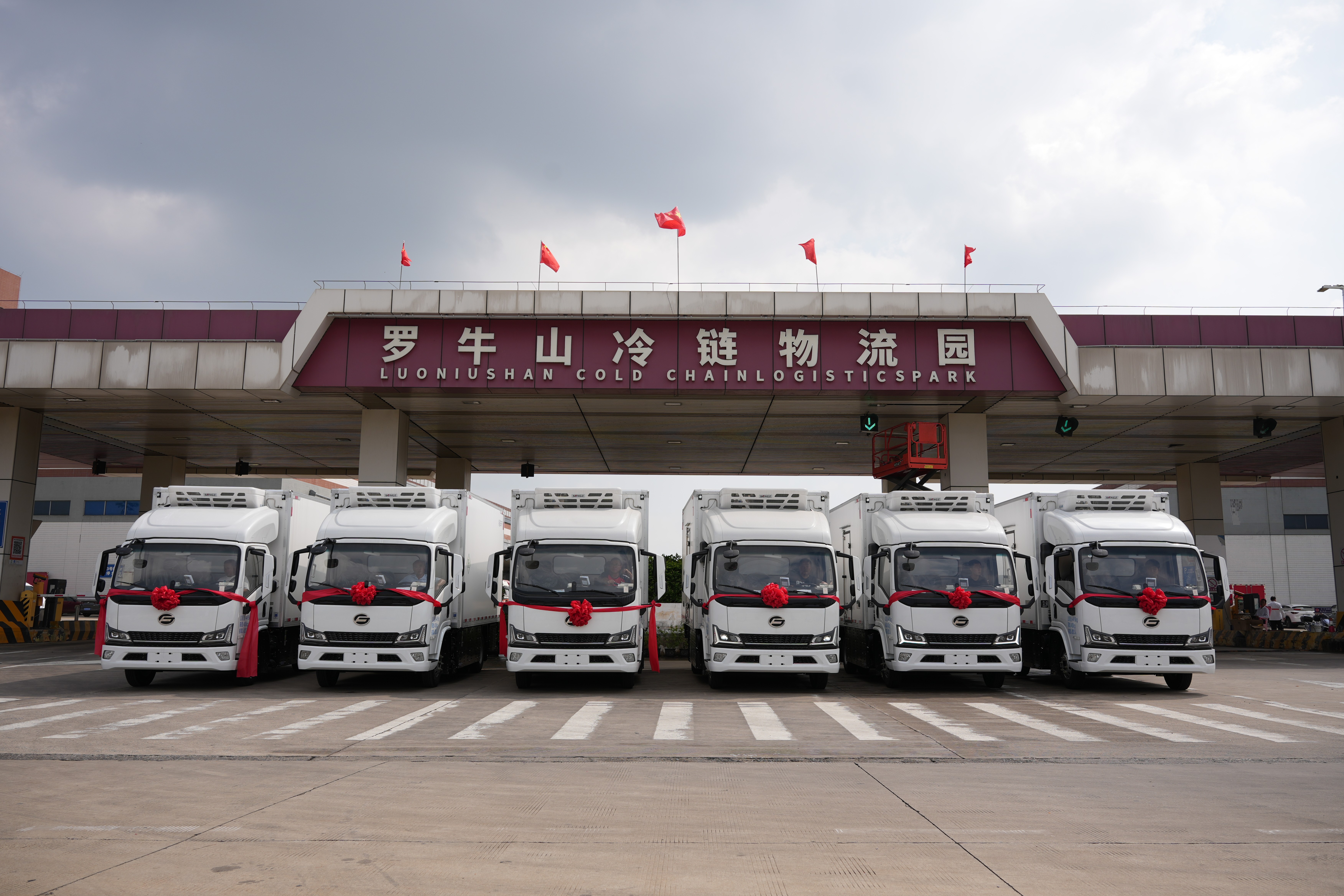 体育app官网下载