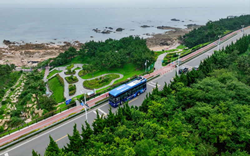 体育app官网下载