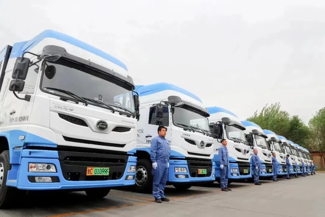 体育app官网下载