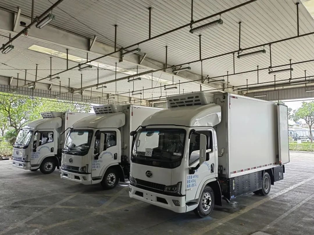 体育app官网下载