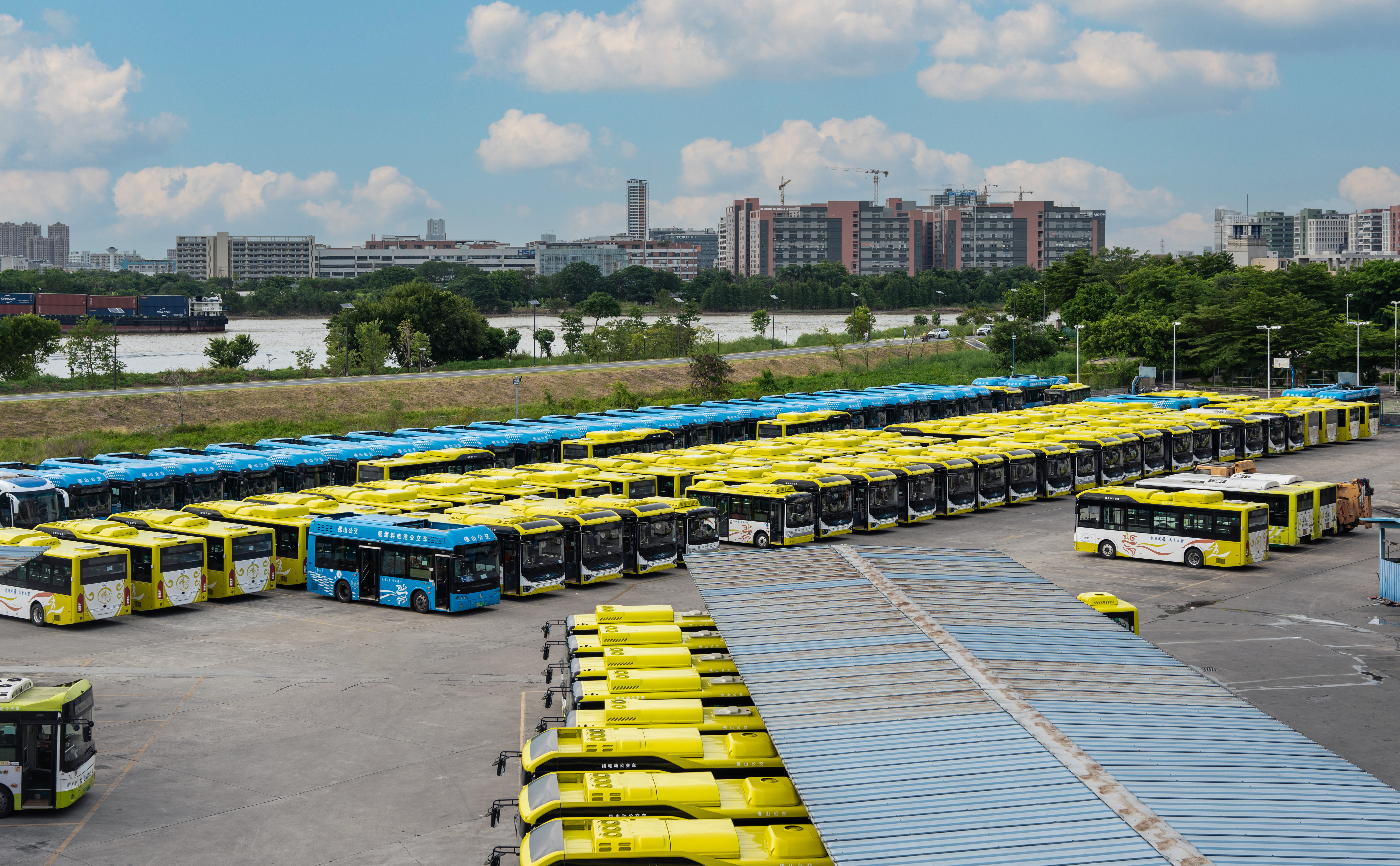 体育app官网下载